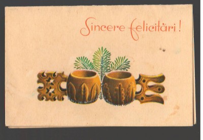CPIB 16394 FELICITARE - &amp;quot;SINCERE FELICITARI!&amp;quot; CARAFE foto