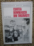 N. Constantinescu - Curtea Domneasca din Targoviste