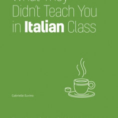 What They Didn't Teach You in Italian Class: Slang Phrases for the Cafe, Club, Bar, Bedroom, Ball Game and More