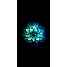Husa Personalizata ALLVIEW P9 Energy Mini Chrysanthemum