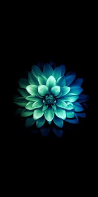 Husa Personalizata XIAOMI Mi A3 Lite \ Mi CC9 Chrysanthemum foto