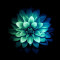 Husa Personalizata SAMSUNG Galaxy J6 Plus 2018 Chrysanthemum