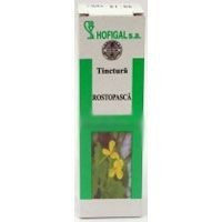 TINCTURA ROSTOPASCA 50ml HOFIGAL foto