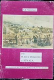 DIN PLAIUL PRAHOVEI LA SINAIA - GH. NISTORESCU