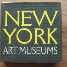 NEW YORK - ART MUSEUMS ( NEW YORK - MUZEE DE ARTA ) - album - 2010