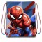 Sac Sport Spiderman 40 cm