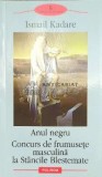 Anul negru. Concurs de frumusete masculina la Stancile Blestemate - 2006 - Ismail Kadare ($C19)