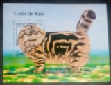 Afgan 1999 pisici de rasa , fauna colita nestampilat