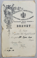 Brevet Insigna Apararii Pasive, Carol II, 1940 foto