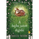 A bajba jutott őzgida - kem&eacute;ny k&ouml;t&eacute;s - Holly Webb