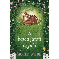 A bajba jutott ozgida - kemeny kotes - Holly Webb foto