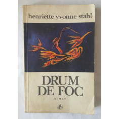 Henriette Yvonne Stahl - Drum de foc