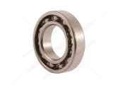 Rulment 6006 / P6 Revo