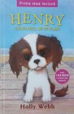 Henry. Catelusul de pe plaja - Holly Webb