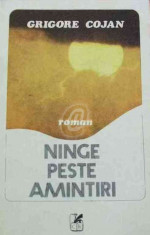 Ninge peste amintiri foto