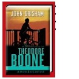 Theodore Boone: Amenintarea - John Grisham