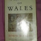 A history of Wales /​ John Davies