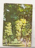 Bnk cld Calendar de buzunar - 1980 - Vinexport