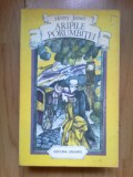 W3 Aripile porumbitei - Henry James