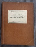 G. Demetrescu - Distantele ceresti si structura universului (1924)