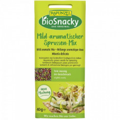 Mix de seminte aromate pentru germinat bio BioSnacky, 40g, Rapunzel