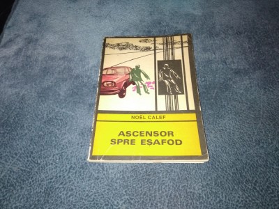 NOEL CALEF - ASCENSOR SPRE ESAFOD foto
