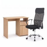 Set de birou Family Pro 100x50x74 cm cu scaun rotativ Fit, stejar Sonoma - gri