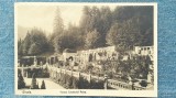 47 - Sinaia Terasa Castelului Peles / carte postala Editura Sigm Schwartz