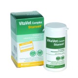 Cumpara ieftin Vitavet Complex, Stangest, 60 tablete