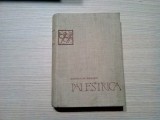 PALESTRICA - O Istorie Universala a Culturii Fizice - Const. Kiritescu -1964