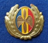 Insigna Militara Ofiter AVIATIE - PILOT - AVIATOR - Coifura insemn cascheta