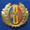 Insigna Militara Ofiter AVIATIE - PILOT - AVIATOR - Coifura insemn cascheta