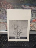 Catalog pictura George Filipescu, text critic Mihai Criscu, Expozitie Simeza Martie 1977, Album Arta, 12 pagini, ilustratii alb negru