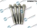 Surub, Suport Injector 255946 DRM0677S