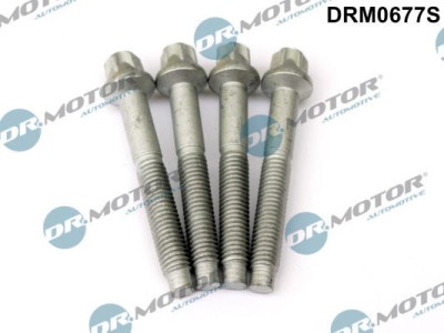 Surub, Suport Injector 255946 DRM0677S foto