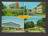 CPIB 20504 CARTE POSTALA - BARLAD, MOZAIC, NECIRCULATA, Fotografie