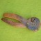 Cleste pentru spart alune, lucrat din lemn, rustic
