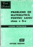 PROBLEME DE MATEMATICA PENTRU LICEU - CLASA A X-A-LILIANA NICULESCU-352541