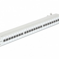 Patch Panel 19" 24 Porturi Cat.6A FTP Gri, Delock 43319