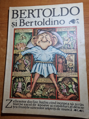 carte pentru copii - bertoldo si bertoldino - din anul 1984 foto