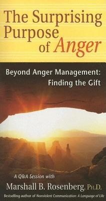 The Surprising Purpose of Anger: Beyond Anger Management: Finding the Gift foto