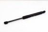 Amortizor haion dreapta TESLA MODEL 3 2019 OEM: 300455-0580N,1091560-00-B 11494781