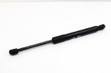 Amortizor haion dreapta TESLA MODEL 3 2019 OEM: 300455-0580N,1091560-00-B 11494781