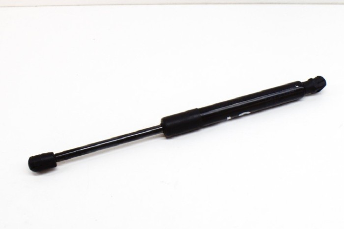 Amortizor haion dreapta TESLA MODEL 3 2019 OEM: 300455-0580N,1091560-00-B 11494781