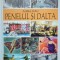 Penelul si dalta - 2019 - Aurel Rau ($O38)