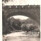 SV * Cheia Dambovicioarei * PODUL DE PIATRA * Muntii Bucegi * 1943