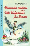 Minunata calatorie a lui Nils Holgersson prin Suedia