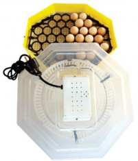 Incubator electric cu dispozitiv de intoarcere 41 oua gaina - 74 oua prepelita... foto