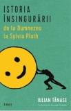 Istoria insingurarii de la Dumnezeu la Sylvia Plath - Iulian Tanase