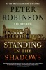 Standing in the Shadows, 2019